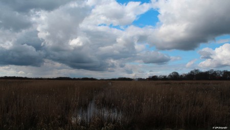 Giethoorn/Dwarsgracht